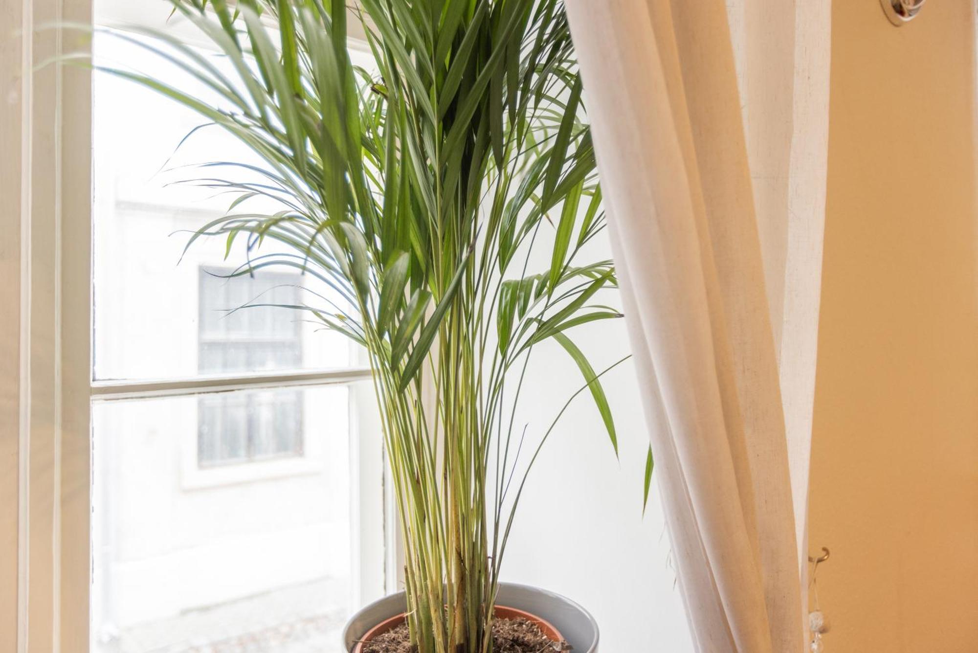 Large Vacation Apartments In The Old Town Riga Bagian luar foto
